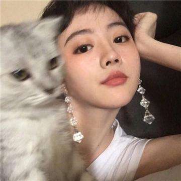 火影大师破解版下载